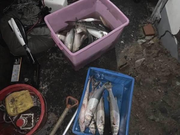 非法|非法捕捞1200余斤！抓！