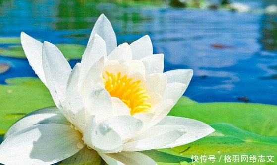 佛祖|佛说:一个人有没有福报,全凭一个字,能做到的人,福报才会来临