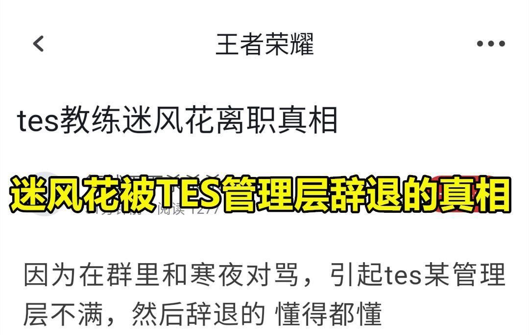 卫冕冠军TS|TES0-3GK：迷风花带队战胜TS，却被辞退原因曝光，寒夜要“背锅”