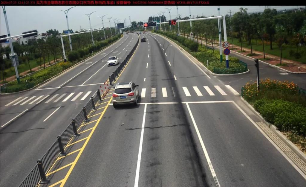 违法|遵守交通规则，做文明无为市民——交通违法曝光（40）