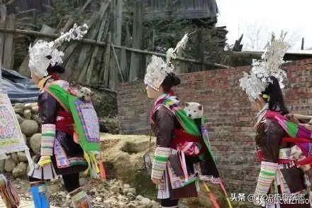 背着|背着狗讨百家饭！中国独有的关于“狗”的节日，一个天堂一个地狱