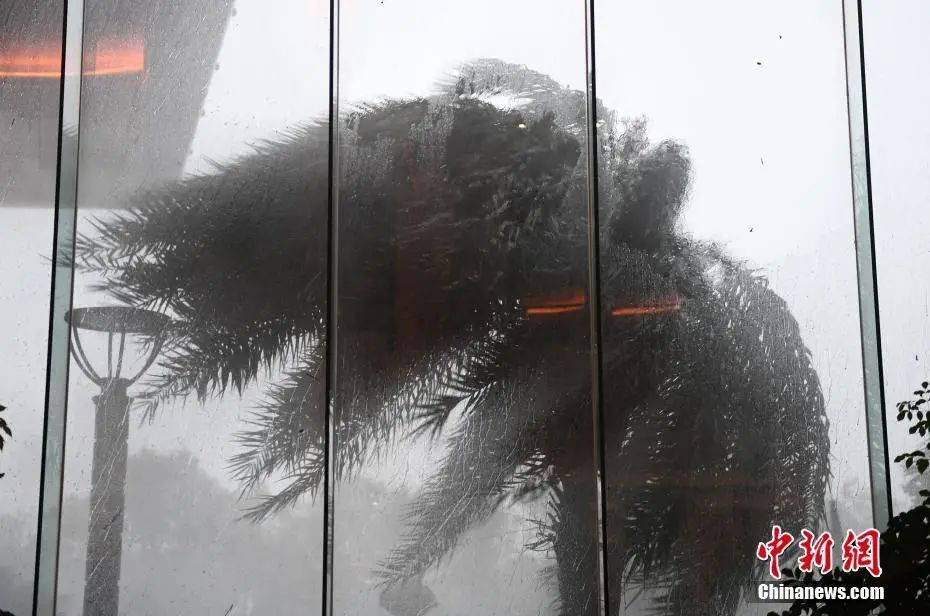 拍浪|台风“黑格比”登陆浙江乐清！惊涛拍浪，响声震天……