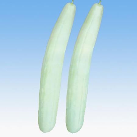 有毒|一盘有毒的水饺，差点让我卧床不起，这种食物还能吃吗？