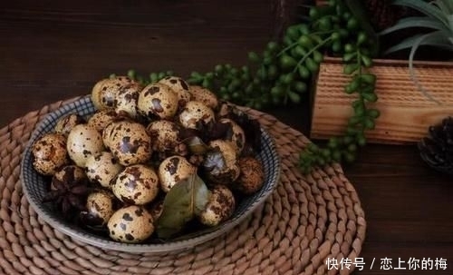 天天|它被称为动物中的“人参”,天天做给孩子吃,考学期间立大功