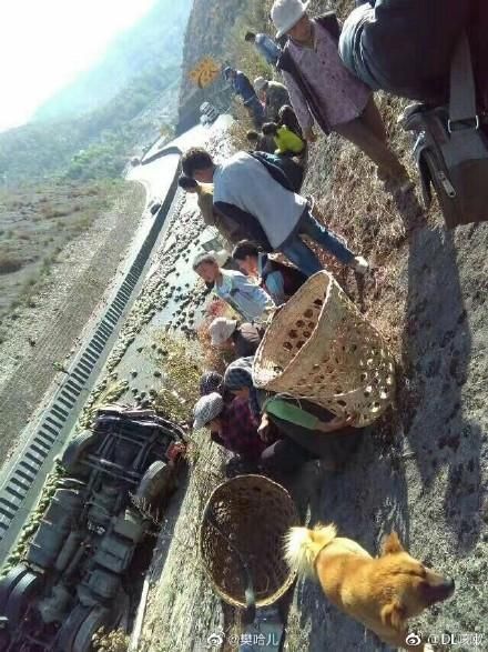  别人|车祸后7吨猪肉遭哄抢，损失近30万元！政府已追回部分被哄抢猪肉