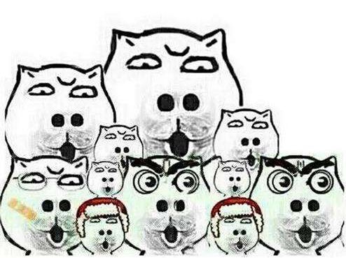  皮肤|有人被这虫咬了！这份“户外防毒提示”用得着！