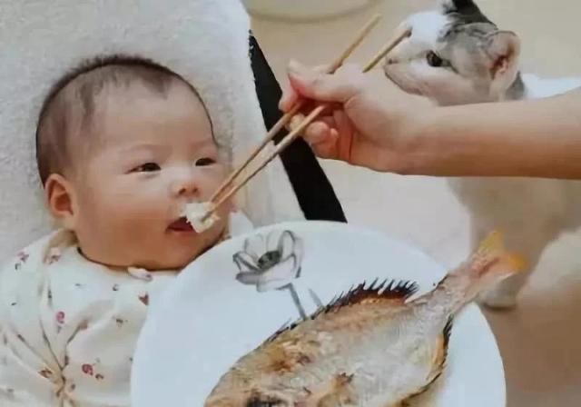 鱼类|三类鱼肉暗藏隐患，影响大脑发育不说还易受伤，科学吃鱼有妙招