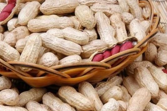  家人|吃花生能延缓衰老，但是很多人疑惑该水煮还是醋泡？看完告诉家人