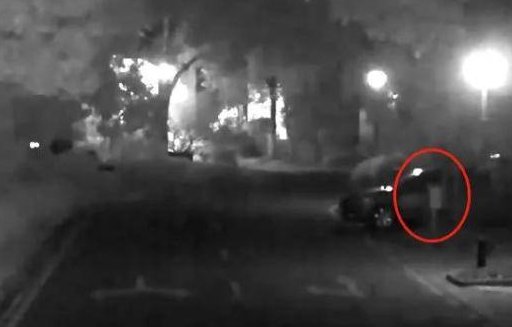  民警|男子花4万租别墅，竟为了偷邻居40瓶茅台，网友：是个人才