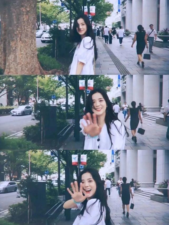 jisoo|『粉丝专属园』明星专辑|jisoo手机壁纸