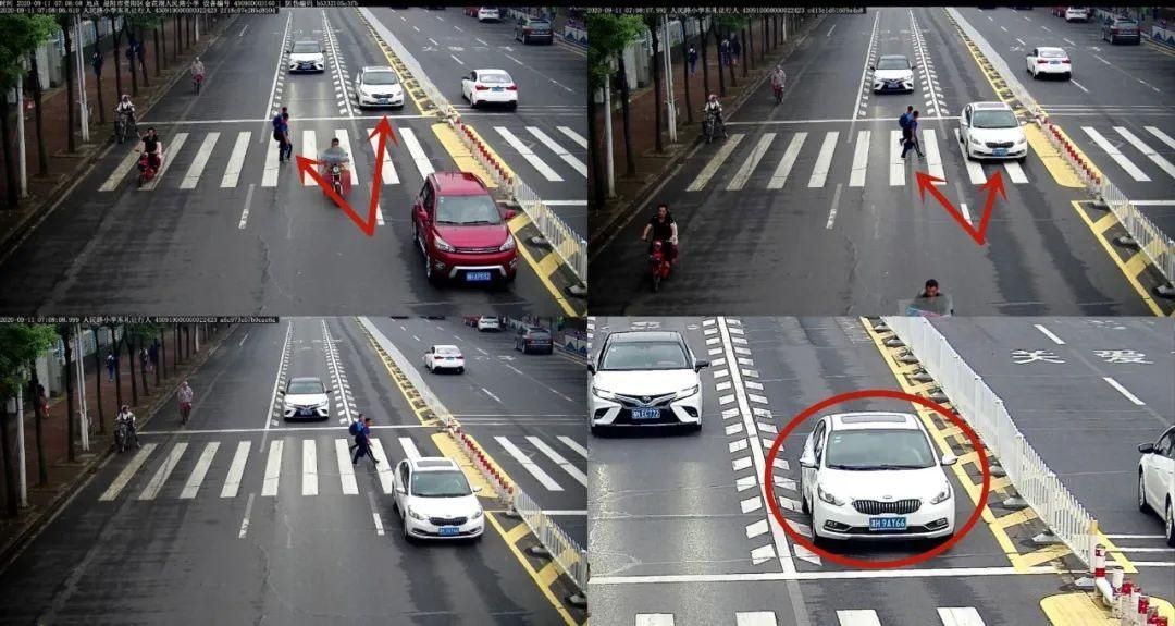 驾驶机动车违反道路|闯红灯、斑马线前不礼让行人，看看都有谁？
