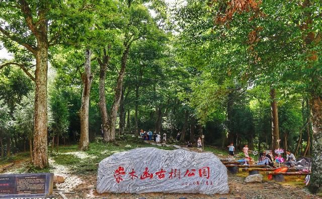  文化底蕴|湖南·邵阳隆回｜有钟灵毓秀的山水，有深厚的文化底蕴