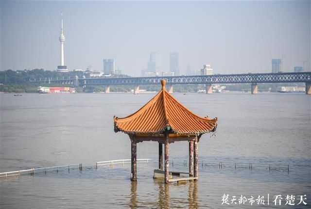 洪水|洪水“标尺” 武昌黄花矶凉亭在江水中露真颜