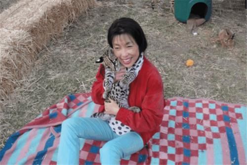  产仔|华南虎拯救计划：5只华南虎送非洲，产仔不到30只，如今何去何从