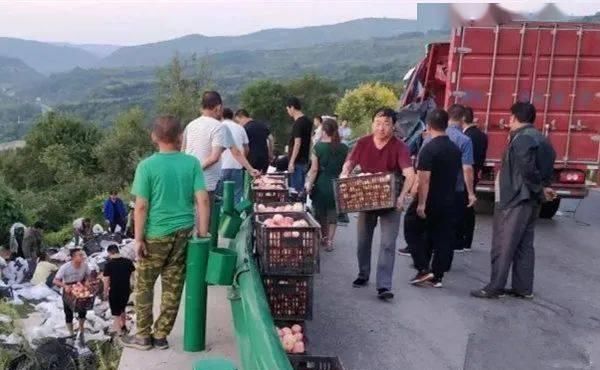  大萝卜|十万吨猪肉被哄抢后，我想起了南京大萝卜的憨憨劲