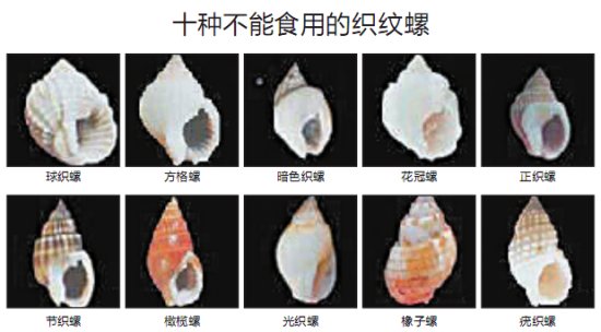 海鲜|一颗就可能致命！这种有毒“海鲜”流向市场……千万要小心