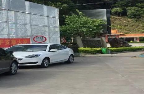 理应|【创文进行时】不回避,不遮丑!这些不文明现象理应整改