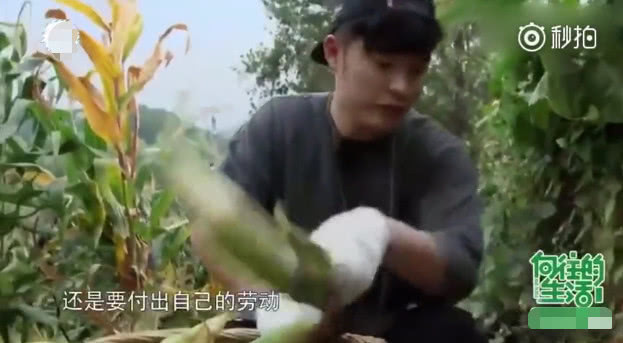  迎接|《向往》史上最惨男嘉宾，来了不但无人迎接，还要给兄妹俩做饭吃