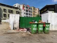 理应|【创文进行时】不回避,不遮丑!这些不文明现象理应整改