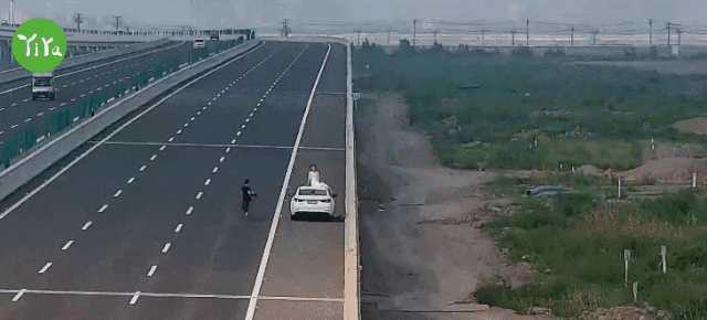 车辆|【提示】七夕节在高速路上拍婚纱照？