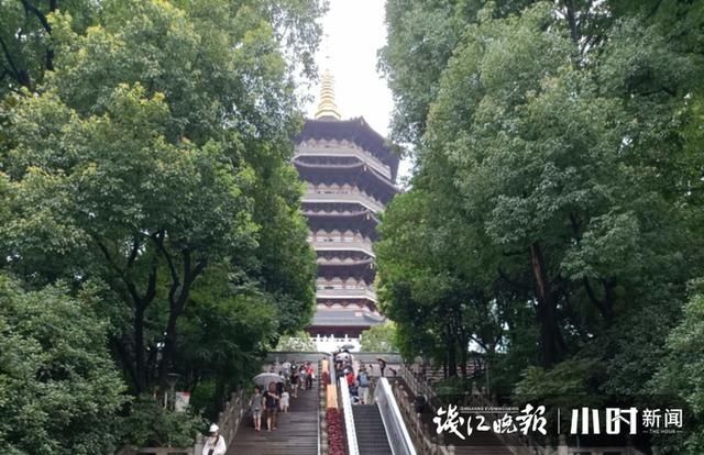  拿走|这里的砖也敢搬？一时兴起，男子翻进雷峰塔拿走半块砖，结果进了派出所…