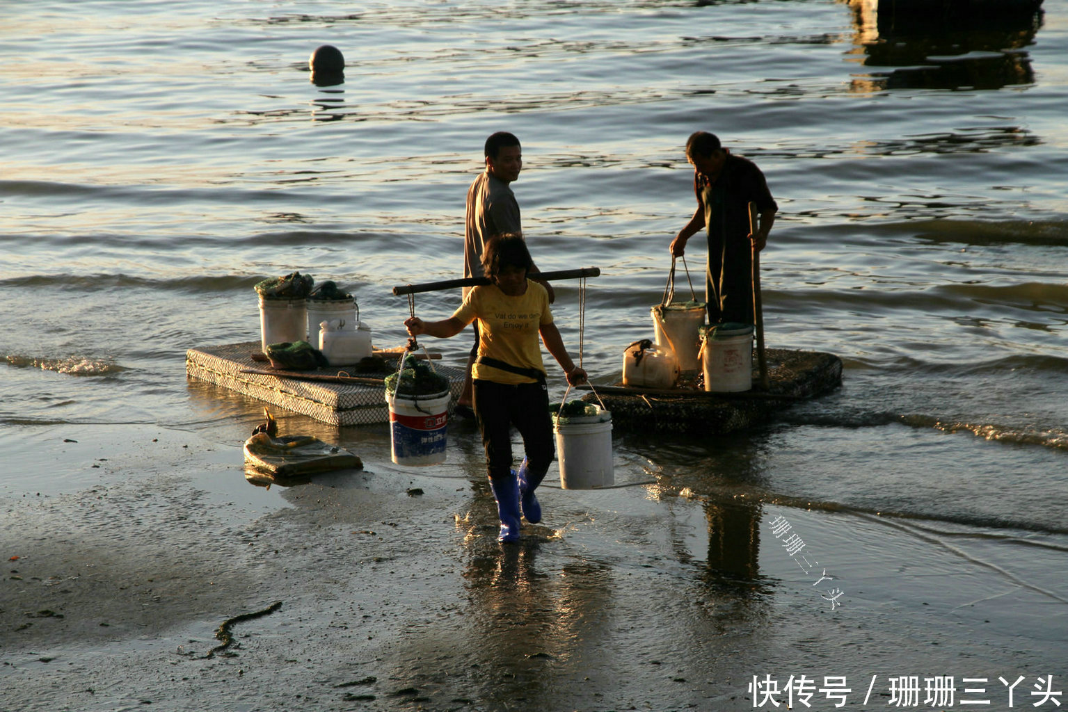  观海|广东湛江“城市中心”看海，走“绝美”观海廊，六看点，摄影天堂