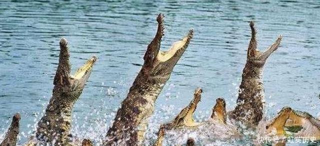 英国|英军层层部署,日本不战而败,900人几无生还,鳄鱼为何先下毒口