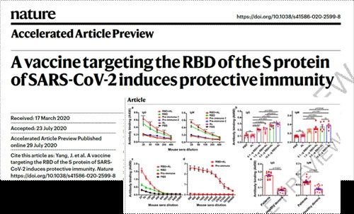 该疫苗|易于大规模生产!中国第一支由昆虫细胞生产的重组蛋白新冠疫苗注入志愿者体中