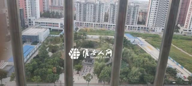 广场|【气愤】大不敬！这是你们跳广场舞的地？