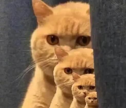  大学生|一周连发5起！大学生回宿舍后傻眼，“全都没了”