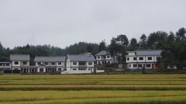 生活|60岁，我最难的生活才开始，农村老人的养老之殇，纪实我的老家。