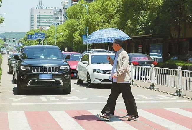 违反交通法|因礼让行人被宝马别车，交警扣6分路人不满：就应该吊销驾照