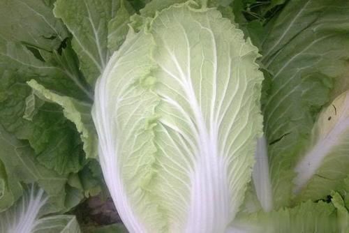 块钱|分享一个白菜好吃的做法,成本不到3块钱,每周做3次吃不腻