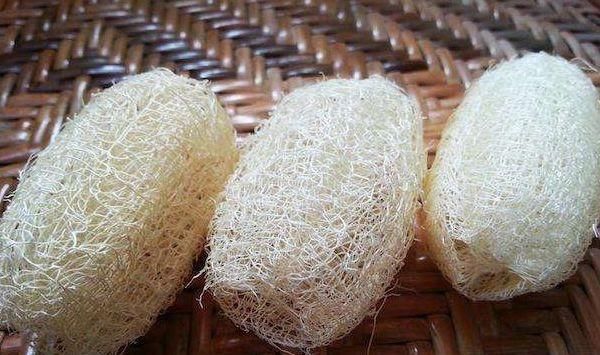  丝瓜瓤|在农村丝瓜越老越“值钱”，只用来洗碗太可惜了，却不知有大用处