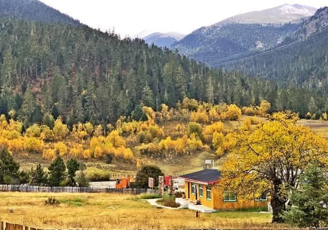 女人|旅行:曾经有一个女人,为我而去了西藏