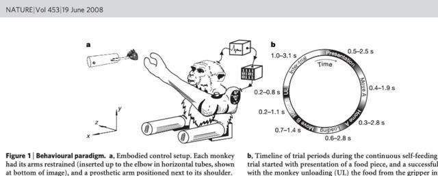 未来|马斯克的Neuralink脑机接口是噱头还是未来?
