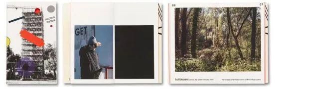  停用|摄影圈｜佳能宣布所有新产品停用两个术语 / 女摄影师凭水中拍鸟成北美打鸟第一人