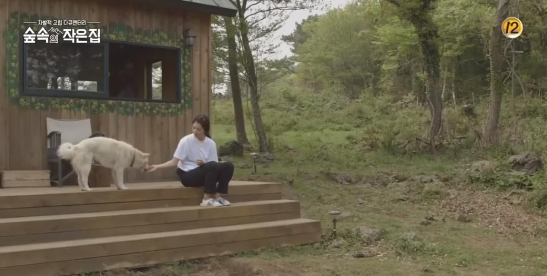 竟成|南韩口碑爆棚,“男神收割机”竟成实验对象?