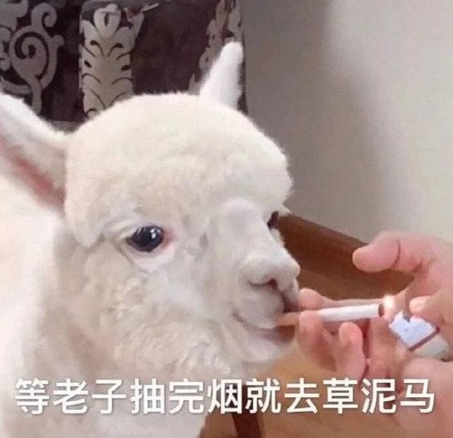  吵架|妈妈再也不用担心我吵架会输了