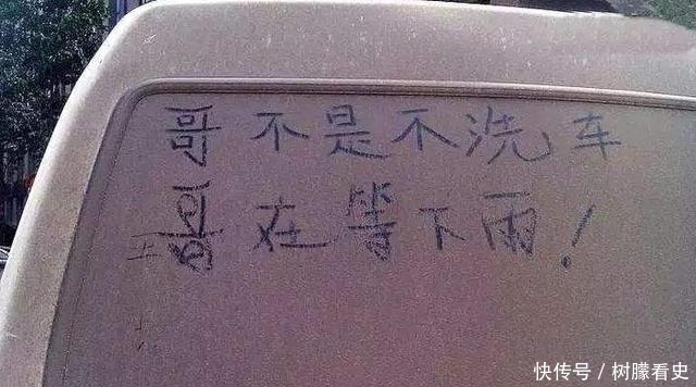 司机|司机因不洗车被扣12分,看到实车后,网友:这不是自找的吗?