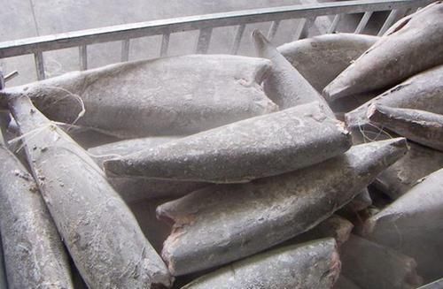  新鲜|冰箱拿出来的冻鱼，万万不要用水泡，教你一招，鱼解冻快，特新鲜