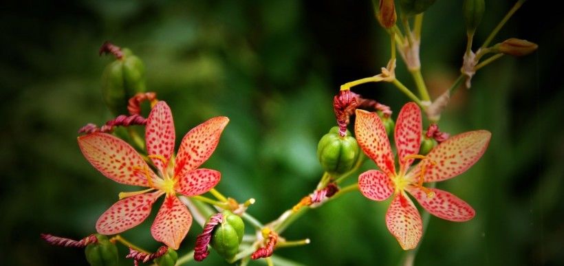  星座|7月底期间，深情依旧，前缘未了，很容易就与旧爱复合的4大星座