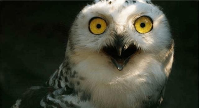 分享|【分享】彩友众生相：中奖之后，你会怎么做？