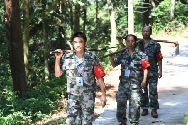 守护|责任重大，他们守护着四面山18万亩国有森林