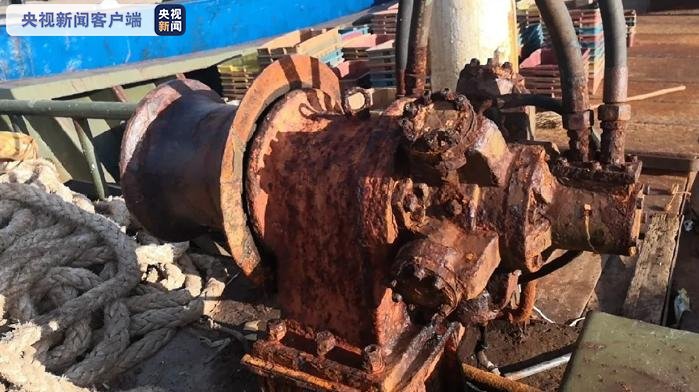 非法|涉案红珊瑚110余公斤案值逾5000万元！福建查获非法猎捕红珊瑚案