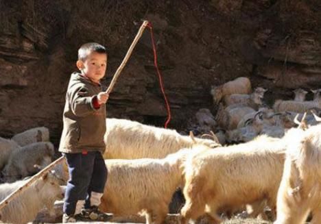  啥意思|村这个说法：白痰轻，绿痰重，吐了黄痰要了命。啥意思呢？