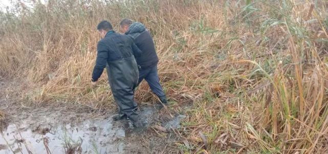  未来|晚上！未来科技城这些人偷偷干这事……