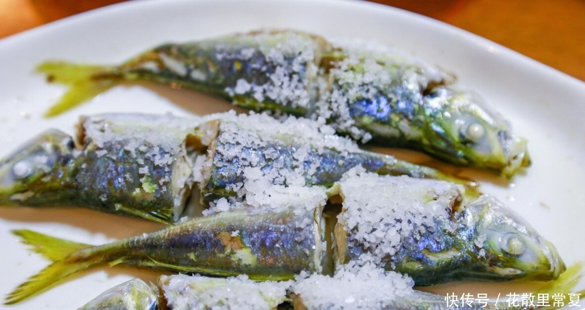 居多|买鱼时,认准这些便宜海鱼,纯野生居多,老渔民自己爱