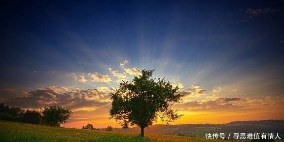 受益|简单朴素的名言,悲痛欲绝,使人终生受益