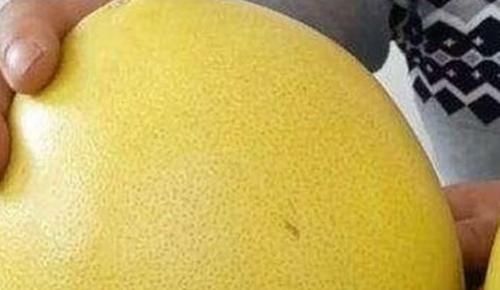 水分|买柚子,选尖的还是圆的?老果农:学会这1招,柚子很甜水分很多